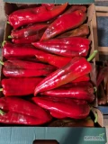 Wholesalers of Ramiro pepper, can contact us for cooperation during the season end May - December