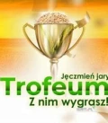 Jęczmień jary Trofeum C1:
