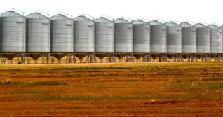 „Polskie” firmy ze Wschodu rządzą rynkiem zbóż?