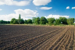 Już trzeba myśleć o zakupach nawozów na wiosnę!