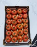 Sprzedam - POMIDOR MALINOWY Azerbejdżan. Ilości paletowe i całosamochodowe tylko pod zamówienie. 
