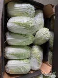 Sprzedam kapuste pekińską w karton na dzis możliwe 5-6 pal po 60 kart
