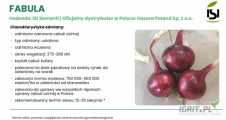 Nasiona ozimej cebuli czerwonej firmy ISI SEMENTI odmiana: FABULA F1 , żólta KIRA F1(j.250 000n) oferuje GEPWEG dystrybutor nasion....