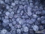 Sprzedam świeżą borówkę niekalibrowaną pakowaną w skrzynki po 4 kg