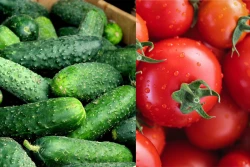 Pomidory i ogórki - jakie ceny na rynkach hurtowych?