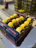 Sprzedam cytryna Turcja - dostępne ilości paletowe oraz calosamochodowe - tylko pod zamówienie 
