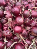 Oferuję do sprzedania cebulę czerwoną.  Zdrowa. Pakowanie - bib bag lub worek, możliwość sprzedania za granicę.