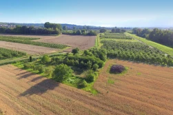 ARiMR: sprawdzajmy, czy nie wykryto nieprawidłowości podczas monitoringu upraw