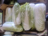 Sprzedam 100 kartonów kapusty pekińskiwj.  Zdrowa, zielona, czysta w środku. Kalibraz 0.5-2 kg. Możliwość dłuższej współpracy 
