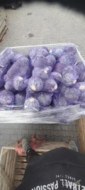 sprzedam kapuste czerwoną kal1-3kg towar marketowy z nalotem ilośći paletowe opakow  raszel 10 -15-20 kg luz cena 2.5zł fak vat