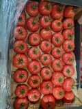 Sprzedam - POMIDOR MALINOWY doświetlany Polska. Ilości paletowe i całosamochodowe.