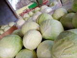 Witam sprzedam kapuste białą od 1 do 4 kg szykowaną w karton box ilości torowe zainteresowanych zapraszam 