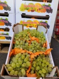 Winogrono 5kg Millennium Włochy- świeża dostawa Katowice

