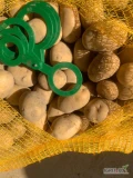 Kupię ziemniaki kaliber 40+ 45+ 50+ 55+ w big bag oraz w worku 10 kg 50+ 55+ 60+ Czerwone oraz żółte, ilości tirowe. Na terenie całego...
