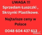 Sprzedam rózne rozmiary skrzynek ilości cało samochodowe