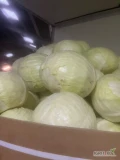 Mam 26 ton kapusty biala dostempna w Krakow, 21 box karton. Kapusty biala, kaliber 2-4. Prosze o whatsapp. 