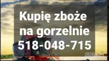 Kupię zboże groszej jakości. Gotówka. Odbiór z gospodarstwa. 518-048-715
