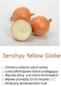 SENSHYU YELLOW(j.250 000n) , SHAKESPEARE F1(j,100 000n) nasiona cebuli ozimej firmy SAKATA oferuje GEPWEG dystrybutor nasion. Dostawa...
