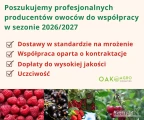 Poszukujemy profesjonalnych producentów owoców do współpracy – sezon 2026/2027
