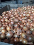 Sprzedam cebulę żółta kaliber 5/7/5-8 Worek 10/15 kg bigbag  Cebula fazorowana ilości tirowe i paletowe 