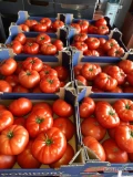 Sprzedam świeży , Polski pomidor czerwony .Pakowany w opakowaniach po 6 kg .