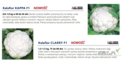 Nasiona kalafiora firmy Alseed. Odmiany: KAPPA F1(j.1000 lub 2500n,wczesny, 60-65 dni , 0.8-1kg) , CLARRY F1(75-80dni , 1.3-1.5kg) , TRIX...