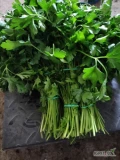 Witam sprzedam koper natkę pietruszki i koper z kwiatem ładne grube pęczki
