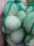 Sprzedam kapustę białą, odmiany Zenon, Sukcessor, główki 1,5-3 kg, pakowana w worki, jednorazowo ilości busowe.