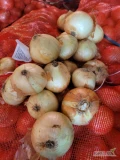 Do sprzedania ilości hurtowe tureckiej cebuli, pakowanej po ~ 26kg. Oferta ograniczona czasowo. Towar dostępny na giełdzie owocowo -...