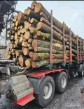 Dzień dobry. W związku z nadwyżką sprzedajemy nasze zapasy drewna. 
