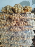 Sprzedam ziemniaki Michalina 280 worków 15 kg  kał 50+ i 70 worków 25 kg winieta kał 45+. Towar zdrowy smaczny ładny 