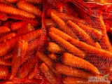 Marchew grubszy kaliber myta, szczotkowana w worku szytym lub big-bag. Opakowanie do uzgodnienia.
