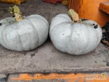 Sprzedam dynie 