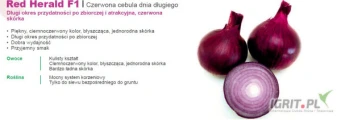 Nasiona cebuli firmy SAKATA.Odmiany : Rosanna (różowa) , Red Herald F1(czerwona) oferuje GEPWEG dystrybutor nasion. Dostawa gratis....