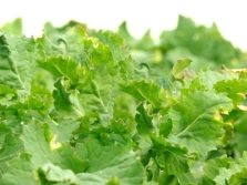 Jesienna regulacja i ochrona rzepaku