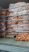 Cebula młoda, bezpośrednio od producenta w Macedonii przy całosamochodowym zamówieniu. Cebula z Macedonii jest niekalibrowana,...