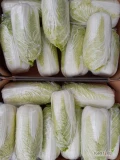 Sprzedam kapustę pekińską. Jakość marketowa. Opakowanie dowolne. Możliwa stała współpraca do końca marca. Duże ilości. W ofercie...