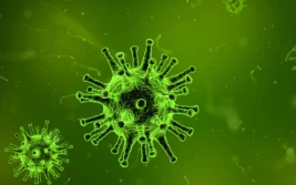 Koronawirus: kto odbierze mleko, gdy rolnik zachoruje?