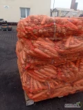 Będę sprzedawać marchewki. Nie prane. W siatkach 22 kg. Na paletach 800 kg. Kaliber duży od 15 do 27 cm. Znajdują się tam wszystkie...