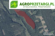 Przetarg na dzierżawę 6,03 ha zbiornika wodnego na 5 lat – Ws, N

