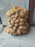 Sprzedam jadalne ziemniaki lord pakowane w worki 15 kg ok. 140 worków.
