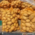 Sprzedam ziemniaki  soraya prosto od producenta, cena za kilogram 0,50 groszy. Pakowany w worki po 15kg. Kontakt tylko telefoniczny. 
