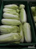 Sprzedam kapustę pekińską 0.3 - 0.5kg

