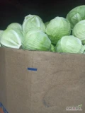 Kupię kapustę białą handlową z chłodni kaliber 1kg -4 kg w karton boksilosci tirowe płatne na załadunku 