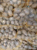 Sprzedam ziemniaki odmiany soraya pakowane po 15 kg jest przyszykowane ponad 4 tony cena podana za worek 

