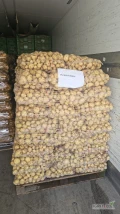 Witam sprzedam ziemniaki młode na luz i na worek ilości tir zainteresowanych zapraszam odmian Riwiera