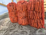 Sptzedam marchew gruba, brudna, worek 30 kg.