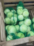 Sprzedam kapustę czerwoną na przemysł opakowanie po stronie kupującego waga 2-3 kg oraz biała waga 2-3kg