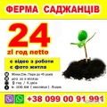 Ферма Саджанців 24 злт год. нетто