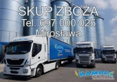 Kampol –  producent -/ elewator  , zaprasza  producentów rolnych  do oferty skupu-
